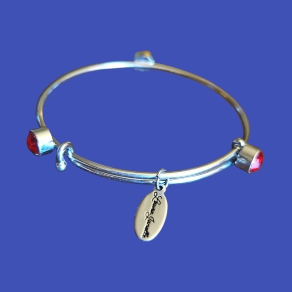 3/$30 LAURA JANELLE Red Gem Slider Bangle Bracelet - Picture 1 of 5